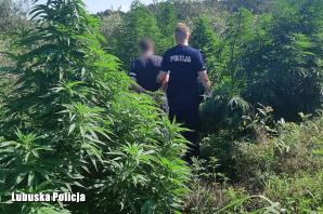 [VIDEO] Zlikwidowana plantacja konopi indyjskich - dzielnicowi z Kargowej skuteczni w zwalczaniu przestępczości narkotykowej